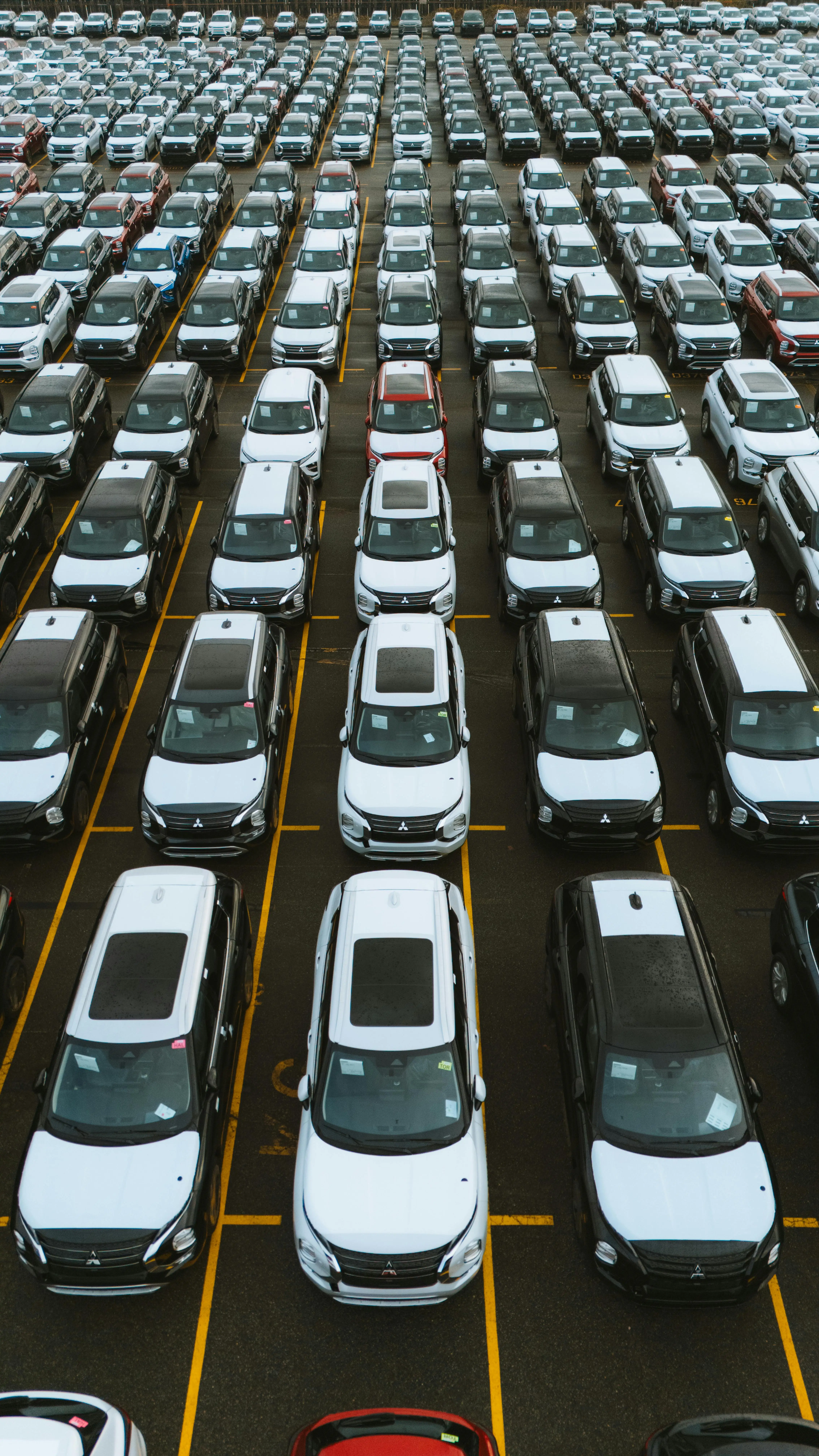 Rows of vehicles on a dealership lot